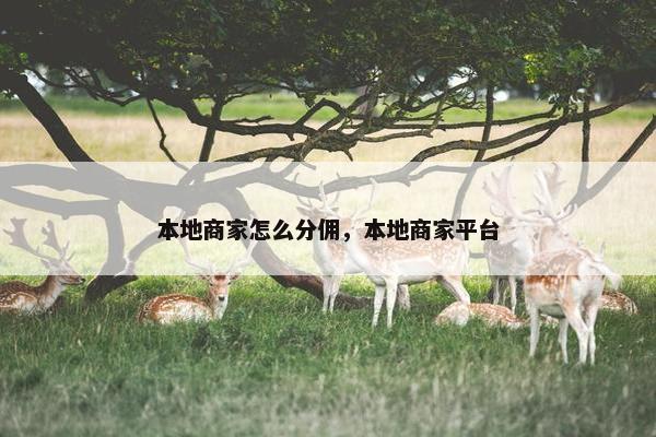 本地商家怎么分佣，本地商家平台