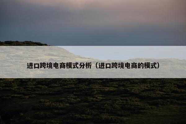 进口跨境电商模式分析（进口跨境电商的模式）