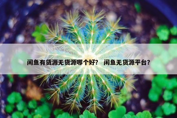 闲鱼有货源无货源哪个好？ 闲鱼无货源平台？