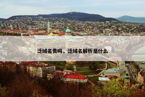 泛域名贵吗，泛域名解析是什么