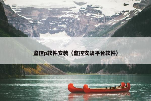 监控p软件安装（监控安装平台软件）