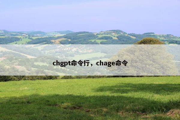 chgpt命令行，chage命令