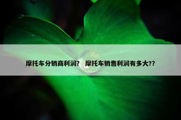 摩托车分销商利润？ 摩托车销售利润有多大?？