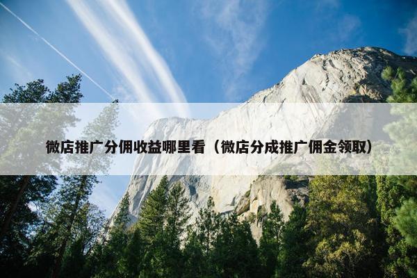 微店推广分佣收益哪里看（微店分成推广佣金领取）