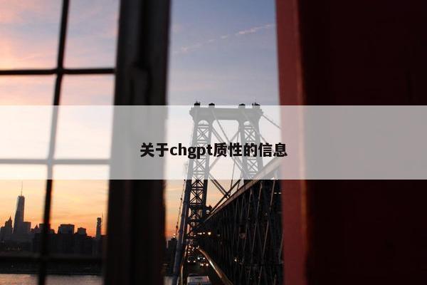 关于chgpt质性的信息