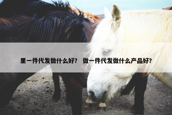 里一件代发做什么好？ 做一件代发做什么产品好？