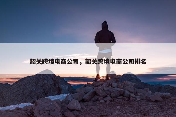 韶关跨境电商公司，韶关跨境电商公司排名