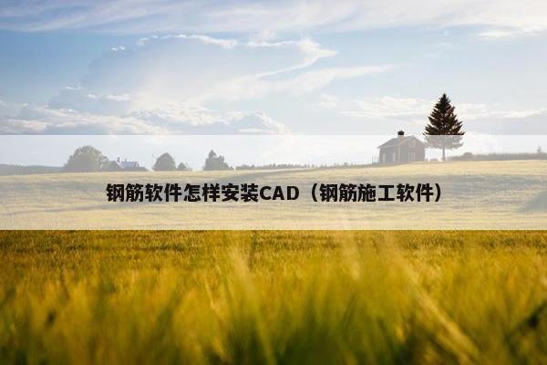 钢筋软件怎样安装CAD（钢筋施工软件）