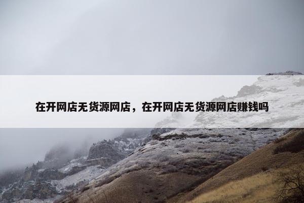 在开网店无货源网店，在开网店无货源网店赚钱吗