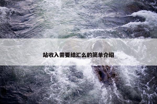 站收入需要结汇么的简单介绍