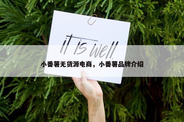 小番薯无货源电商，小番薯品牌介绍