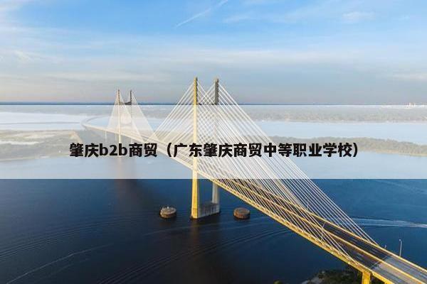 肇庆b2b商贸（广东肇庆商贸中等职业学校）