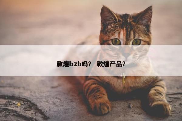 敦煌b2b吗？ 敦煌产品？