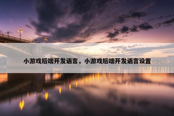 小游戏后端开发语言，小游戏后端开发语言设置