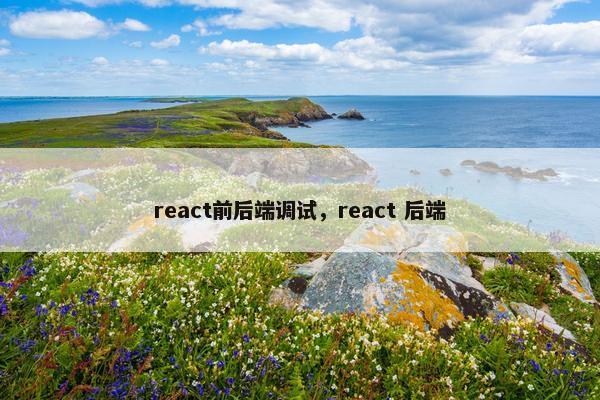 react前后端调试，react 后端
