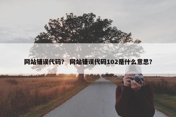 网站错误代码？ 网站错误代码102是什么意思？