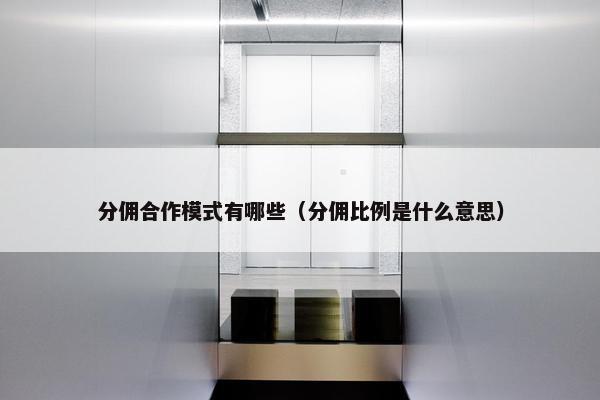 分佣合作模式有哪些（分佣比例是什么意思）