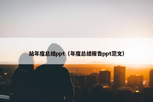 站年度总结ppt（年度总结报告ppt范文）