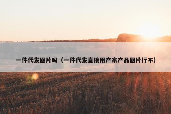 一件代发图片吗（一件代发直接用产家产品图片行不）