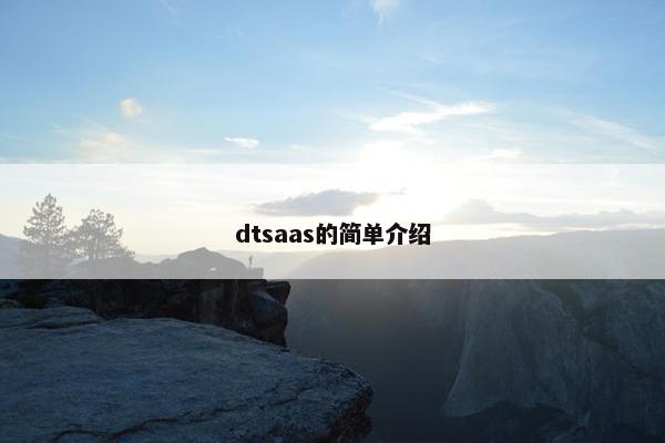 dtsaas的简单介绍