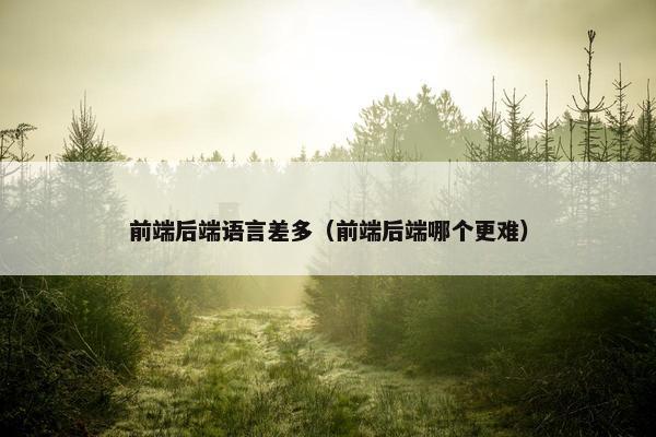 前端后端语言差多（前端后端哪个更难）