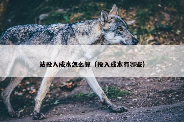 站投入成本怎么算（投入成本有哪些）