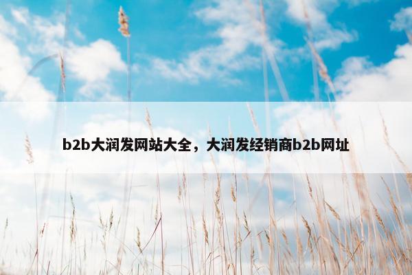 b2b大润发网站大全，大润发经销商b2b网址