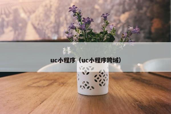 uc小程序（uc小程序跨域）