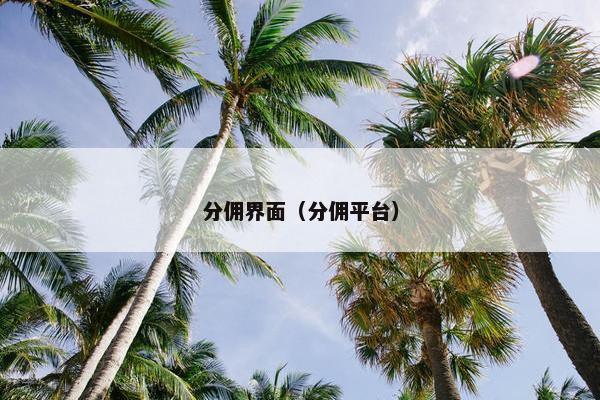 分佣界面（分佣平台）
