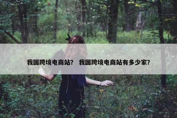 我国跨境电商站？ 我国跨境电商站有多少家？