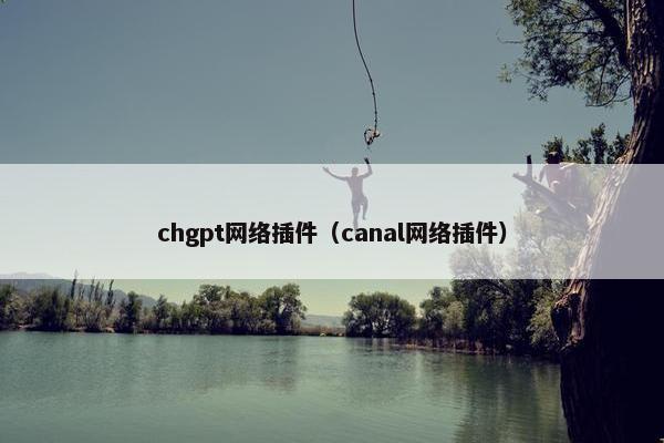 chgpt网络插件（canal网络插件）