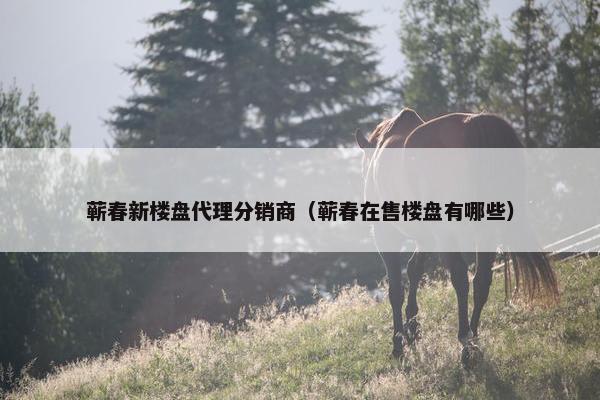 蕲春新楼盘代理分销商（蕲春在售楼盘有哪些）