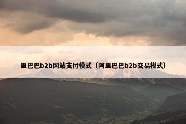 里巴巴b2b网站支付模式（阿里巴巴b2b交易模式）