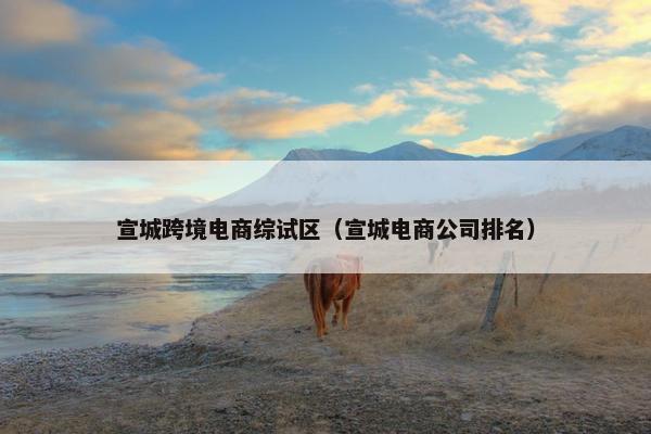 宣城跨境电商综试区（宣城电商公司排名）