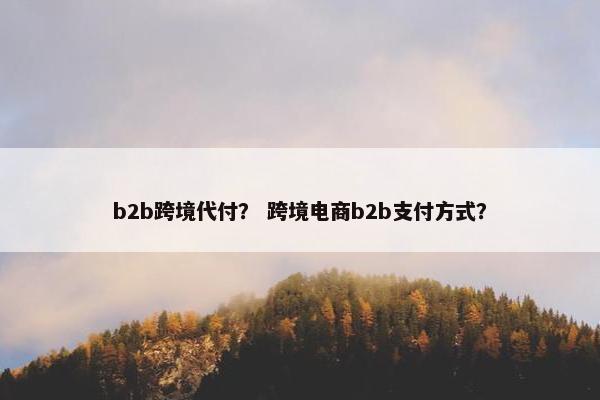 b2b跨境代付？ 跨境电商b2b支付方式？