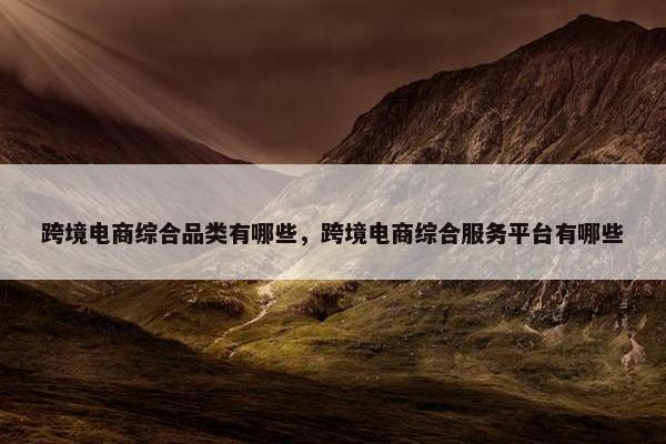 跨境电商综合品类有哪些，跨境电商综合服务平台有哪些