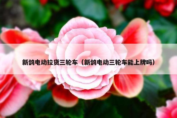 新鸽电动拉货三轮车（新鸽电动三轮车能上牌吗）