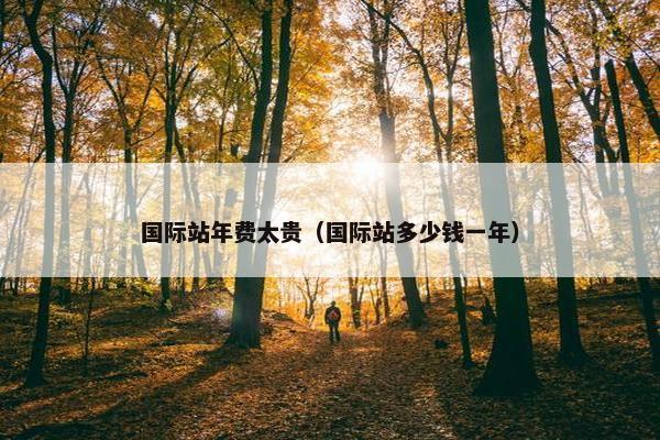 国际站年费太贵（国际站多少钱一年）