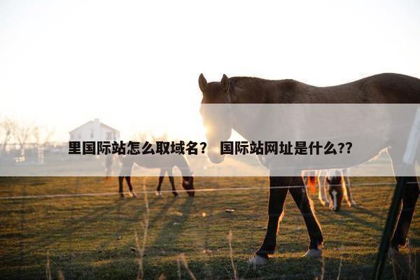 里国际站怎么取域名？ 国际站网址是什么?？