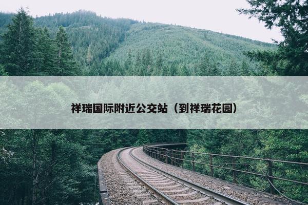 祥瑞国际附近公交站（到祥瑞花园）