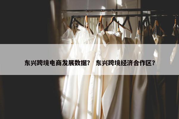 东兴跨境电商发展数据？ 东兴跨境经济合作区？