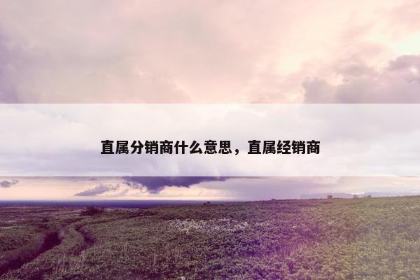 直属分销商什么意思，直属经销商