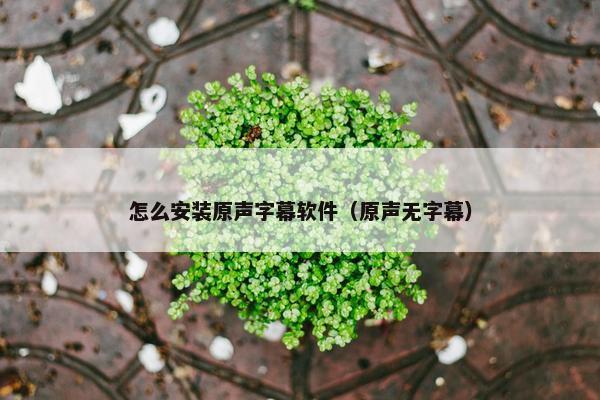 怎么安装原声字幕软件（原声无字幕）