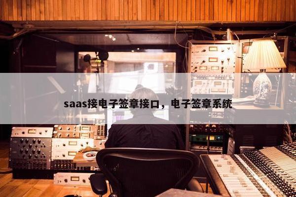 saas接电子签章接口，电子签章系统