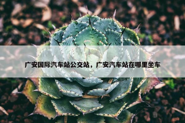 广安国际汽车站公交站，广安汽车站在哪里坐车