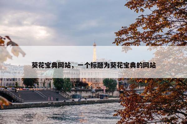 葵花宝典网站，一个标题为葵花宝典的网站
