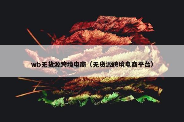 wb无货源跨境电商（无货源跨境电商平台）