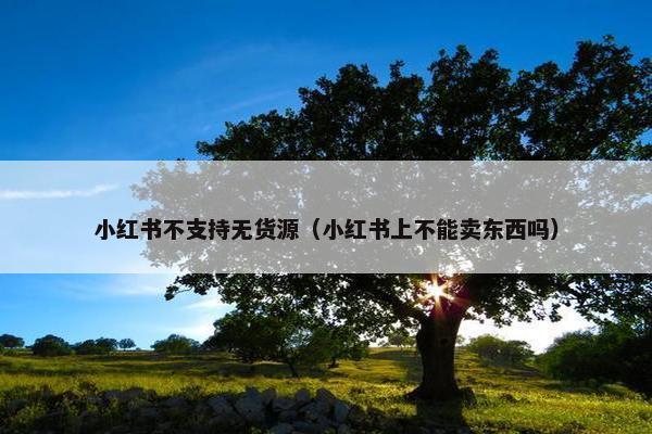 小红书不支持无货源（小红书上不能卖东西吗）