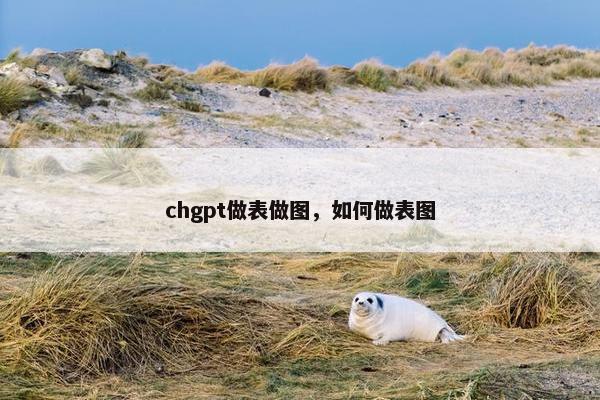 chgpt做表做图，如何做表图