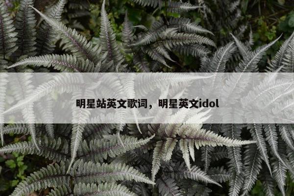 明星站英文歌词，明星英文idol